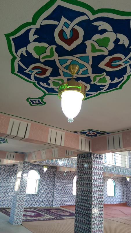 Tulip%20mihrab%20and%20ceiling%20chandelier%2020%20cm%20diameter